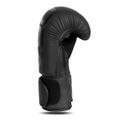 Boxerské rukavice DBX BUSHIDO B-2v21 12 oz