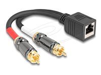 Adaptérový kábel RJ45 jack to 2 x RCA male