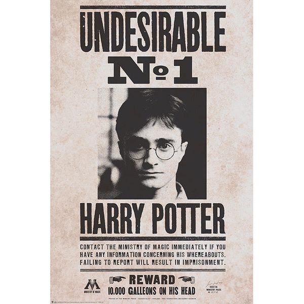 Plagát Harry Potter - Undesirable č. 1