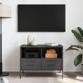 vidaXL TV skrinka čierna 100,5x39x50,5 cm oceľ valcovaná za studena