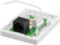 Zásuvka NEKU CAT6 UTP 1 x RJ45 na omietku biela Zásuvka NEKU CAT6 UTP 1 x RJ45 na omítku bílá