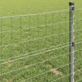 vidaXL Euro plot 1 x 25 m Železo potiahnuté PVC