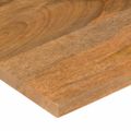 vidaXL Stolová doska so zakrivením 100x50x2,5 cm surový mangový masív