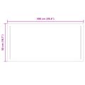 vidaXL Zrkadlo do kúpeľne s LED Priehľadná 100 x 50 cm tvrdené sklo