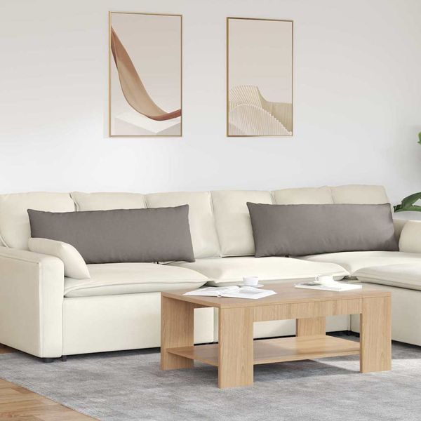 vidaXL Vankúše na pohovku 2 pcs Sivohnedá 120 x 40 cm látka