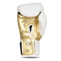 Boxerské rukavice DBX BUSHIDO B-2v19 10 oz