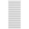 vidaXL Zebra roleta svetlosivá 100x200cm šírka látky 95,9 cm polyester