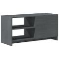 vidaXL TV skrinka sivá 80x31x39 cm borovicový masív