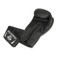 Boxerské rukavice DBX BUSHIDO B-2v12 16 oz