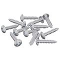 vidaXL Drevo skrutky 12 ks Strieborná M3,5 x 20 mm Oceľ