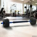 vidaXL 2-v-1 set činiek a činky 20 kg Čierna a modrá