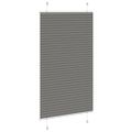 vidaXL plisovaná roleta antracit 70x100 cm Šírka látky 69,4 cm