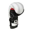 Boxerské rukavice DBX BUSHIDO B-2v8 12 oz