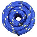 vidaXL Lano na čln 4 mm 5 m Modrá