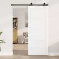 vidaXL Posuvné dvere ORKDAL 83 x 202 cm Borovicový masív Biela