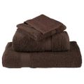 vidaXL Prémiové uteráky SOLUND 2 ks hnedé 100x200 cm 600 g/m2