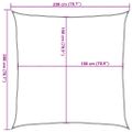 vidaXL Tieniaca plachta 160 g/m² modrá 2x2 m HDPE