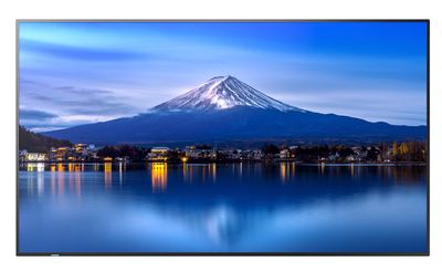 55'' LED SHARP P556, 3840 x 2160, IPS, 24/7, 700 cd
