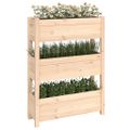 vidaXL Kvetináč 77x25x104,5 cm borovicový masív