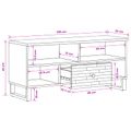 vidaXL TV skrinka Hnedá 100 x 33 x 46 cm Masívne mango drevo
