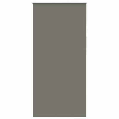 vidaXL Roleta Zatemnenie sivá 115x210 cm Šírka látky 110,7 cm