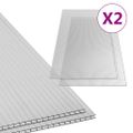 vidaXL Polykarbonátová doska 2 ks 6 mm 150x65 cm