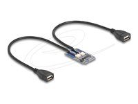 Mini PCIe adaptér plnej veľkosti na 2 x USB 2