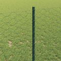 vidaXL Hexagonálny plot s stĺpom 100 x 1 m PVC potiahnutá oceľ Zelená