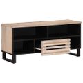 vidaXL TV skrinka 100x34x46 cm, mangový masív