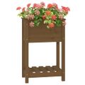 vidaXL Kvetináč s policou medovohnedý 54x34,5x81 cm masívna borovica