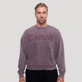 Mikina Persistence Washed Brown - GymBeam, veľkosť M