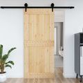 vidaXL Dvere NARVIK 100 x 210 cm Masívne borovicové drevo (neupravené)