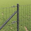vidaXL Európsky plot s hrotmi 50 x 0,6 m PVC potiahnutá oceľ Sivá