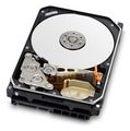 Western Digital Ultrastar® HDD 12TB (HUH721212ALE604) DC HC520 3.5in 26.1MM 256MB 7200RPM SATA 512E SE (GOLD WD121KRYZ)