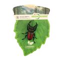 Hmyz - roháč 7 cm