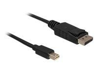 Kábel DisplayPort - Mini DisplayPort (M) do DisplayPort (M) - 1 m