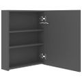 vidaXL LED kúpeľňová zrkadlová skrinka sivá 50x14x60 cm