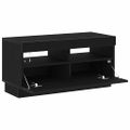vidaXL TV skrinka 80 x 35 x 40 cm Čierny dub Kompozitné drevo