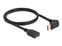 DisplayPort predlžovací kábel samec 90° dow