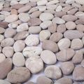 vidaXL Kamenné dlaždice Béžová a svetloružová 30 x 30 cm Riečny štrk