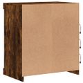 vidaXL Komoda s LED svetlami dymový dub 60,5x37x67 cm