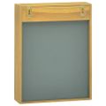 vidaXL Zrkadlová skrinka 30x10x40 cm masívne tíkové drevo