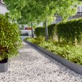 vidaXL Obrubník trávnika 30 ks 20 x 103 cm Antracitová