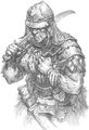 The One Ring RPG: Príbehy z osamelých krajín