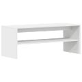 vidaXL TV skrinka biela 120x40x40 cm drevotrieska