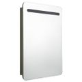 vidaXL LED kúpeľňová zrkadlová skrinka antracitová 60x11x80 cm