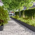 vidaXL Obrubník trávnika 20 ks 25 x 103 cm Čierna