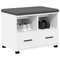vidaXL Predsieňová lavica Biely 60 x 38 x 46 cm