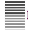 vidaXL Zebra roleta čierna 100x150 cm šírka látky 95,9 cm polyester