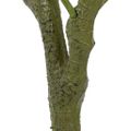 vidaXL Umelý olivovník 450 listov 120 cm zelený